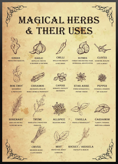 :+:HR:+: Magical Herbs & Their Uses Poster