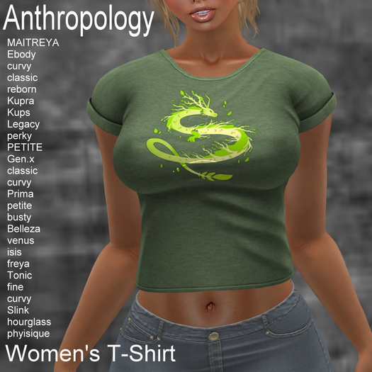 Spring Dragon Women's T-Shirt (WTTA)