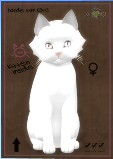 KittyCatS Box - Russian - White