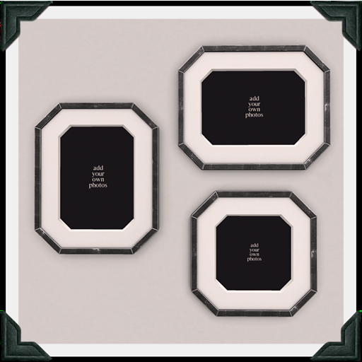 floorplan. octagonal frame SET / black [box]