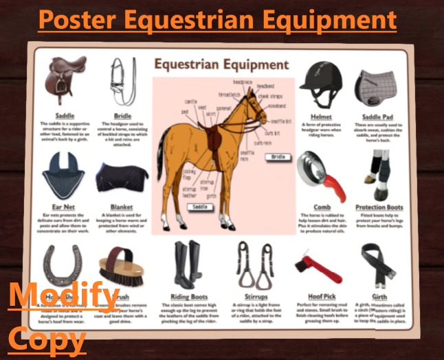 Poster Equestrian Equipment