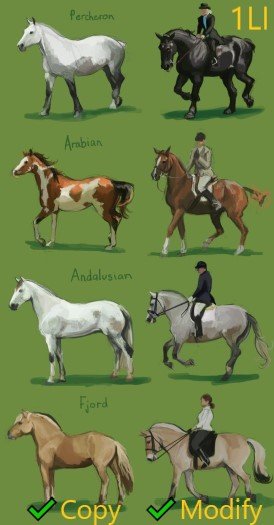Horse Breed Poster