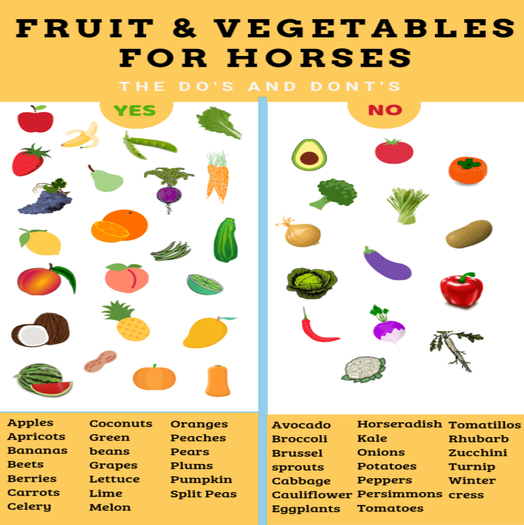 Noxikc'shop: Poster fruit vegetables for horses