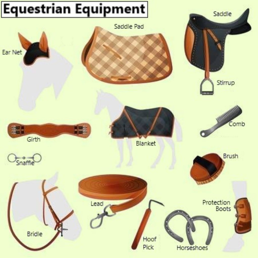 Noxikc'shop: Poster Equestrian Equipment