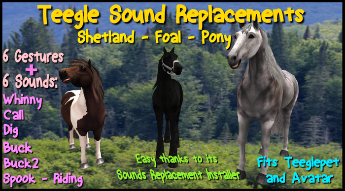 PGG: Teegle Sound Replacements - Shetland, Foal, Pony