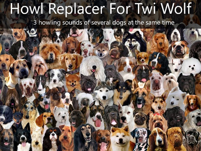 ::MDB::Howl Replacer For Twi Wolf 