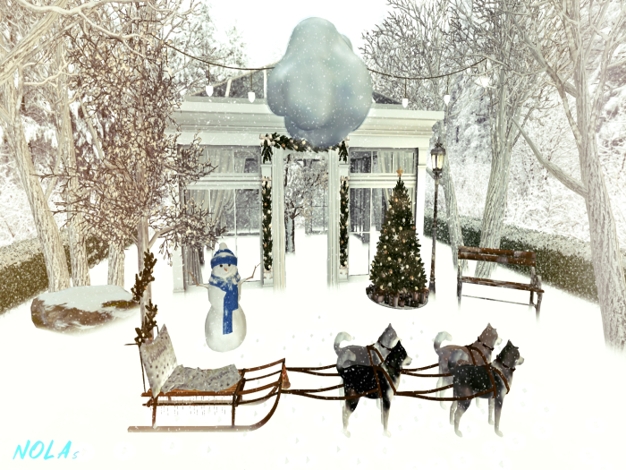 Sled with Huskys ( Single & Couple )