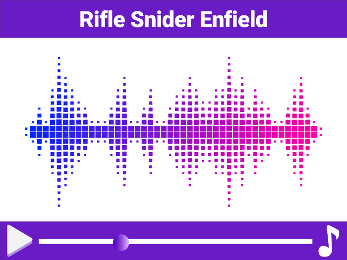 Rifle Snider Enfield Sound PACK