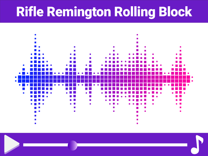 Rifle Remington Rolling Block Sound PACK