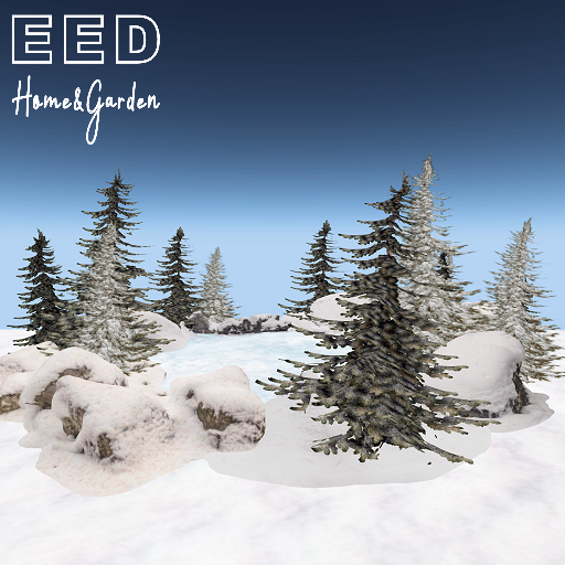 EED's WINTERY POND w ROCKS+PINES  resizer c