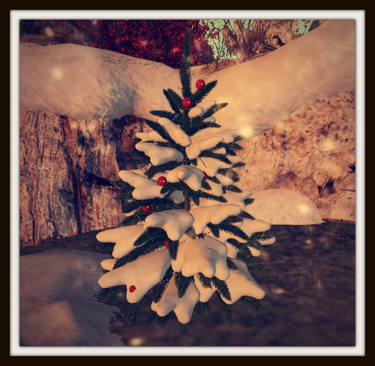 RHC Snow Covered Pine Tree (Holiday)