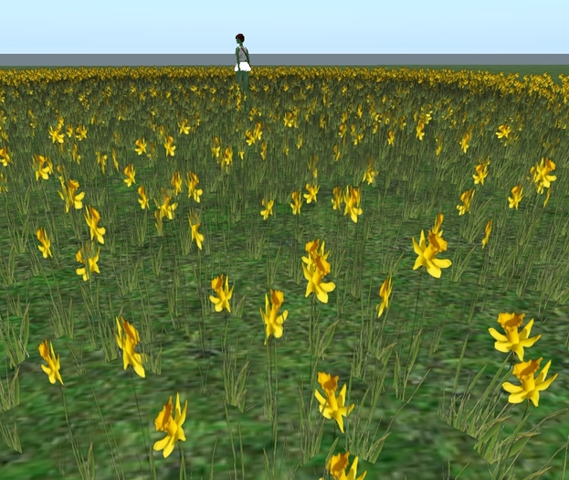 Field of Spring Colored Flowers 30 meter circle 1 Prim by Rita Munro