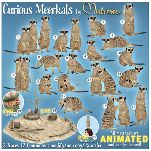 19. Mutresse-Curious Meerkats RARE