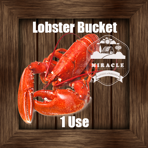 DFS Lobster Bucket