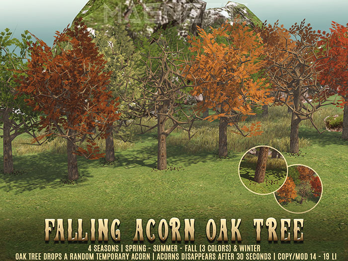 Magnetic - Falling Acorn Oak Tree