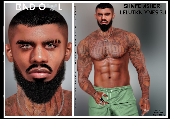 SHAPE ASHER-LELUTKA YVES 3.1