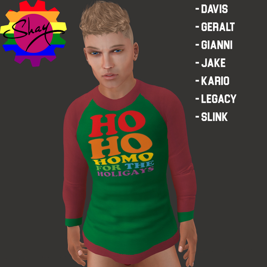 Homo Holigays LS Tee