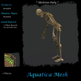 Aquatica Mesh - AM025770 Fixing Stock #01