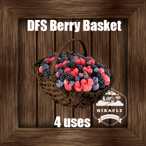 DFS Berry Basket