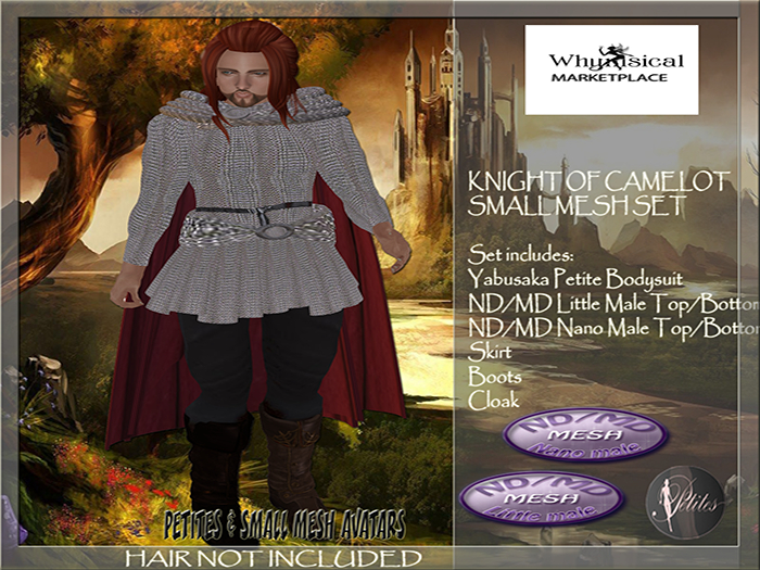 Knight of Camelot Male Small Mesh Set (BOXED)