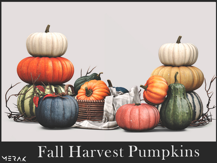 [Merak] - Fall Harvest Pumpkins Set