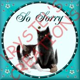 Sorry52 So Sorry (Wear Me)