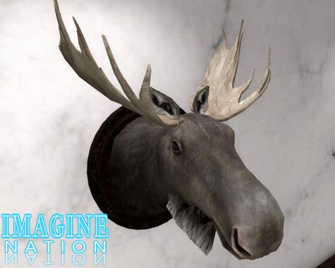 Mounted Trophy Moose Head w/resize
