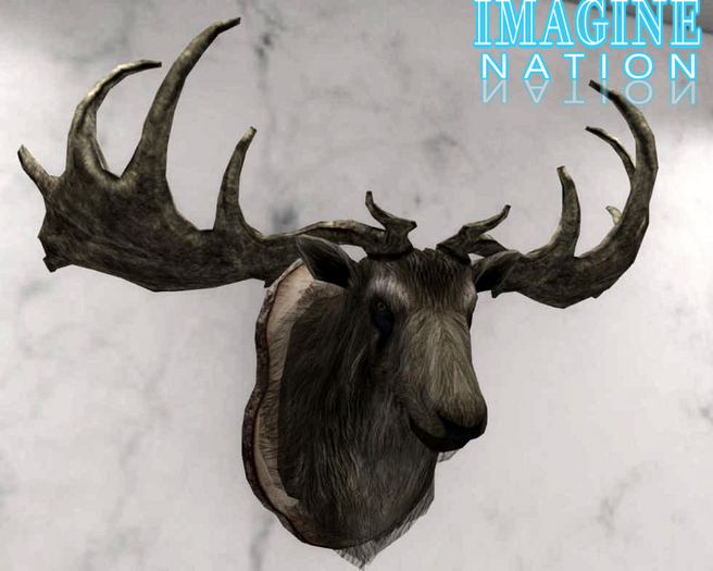 Mounted Trophy Elk Head w/resize