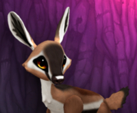 ANTY PYRO FEMALE (GREEN LIGHTS DNA) SIZE 6 FAWN LOG