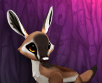 ANTY PYRO FEMALE (WHITE LIGHTS DNA) SIZE 4 FAWN LOG