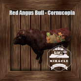 Red Angus Bull - Cornucopia