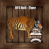 DFS Bull - Tiger
