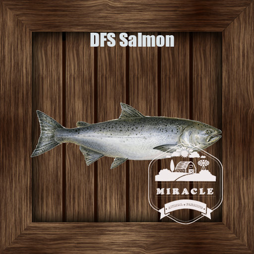 DFS Salmon