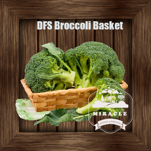 DFS Broccoli Basket 