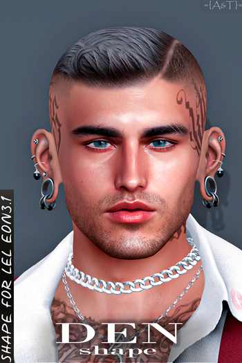 {A&T}shape DEN Lel EON3.1 + Leg&Sign+Kario