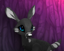 CHARKY TEARDROP FEMALE (BLUE LIGHTS DNA) SIZE 4 FAWN LOG