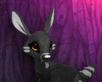 CHARKY PYRO FEMALE (GREEN LIGHTS DNA) SIZE 3 FAWN LOG