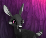 CHARKY BLUSHING FEMALE (PINK LIGHTS DNA) SIZE 4 FAWN LOG