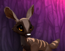 CHOCOSABER PYRO FEMALE (ANTELOPE DNA) SIZE 4 FAWN LOG
