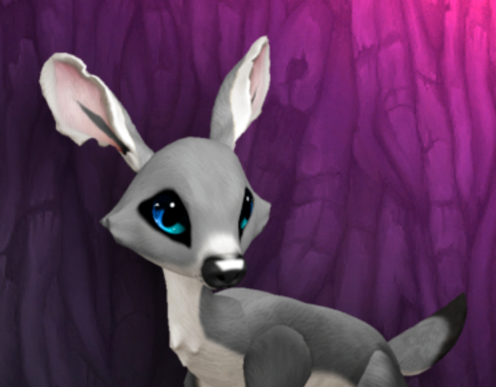 SILVY TEARDROP FEMALE (BLUE LIGHTS DNA) SIZE 4 FAWN HUD