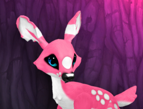 PASSION TEARDROP FEMALE (BLUE LIGHTS DNA) SIZE 3 FAWN LOG