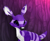 LAVENDER INDIGO FEMALE (PURPLE LIGHTS DNA) SIZE 8 (BIGGEST) FAWN LOG