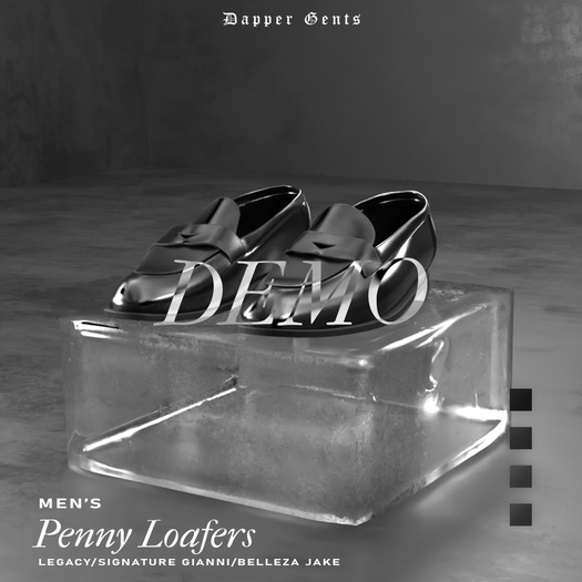 DG - Penny Loafers DEMO