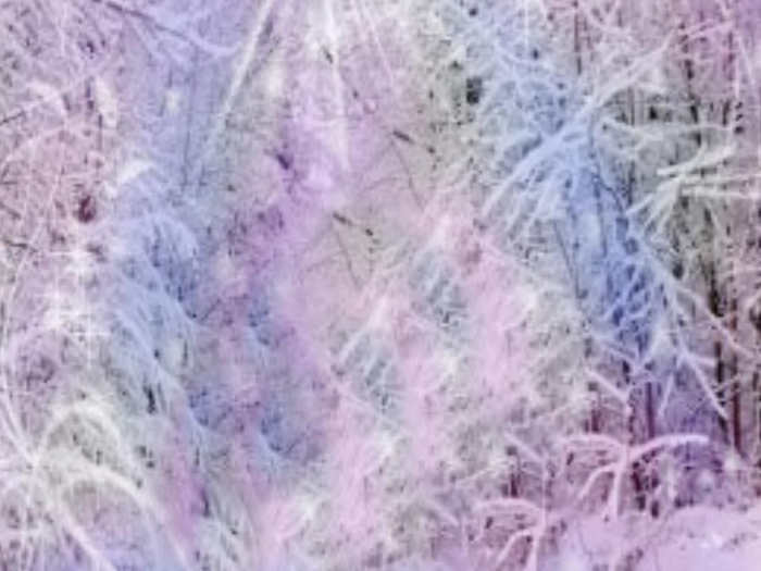 Winter Twinkles Texture