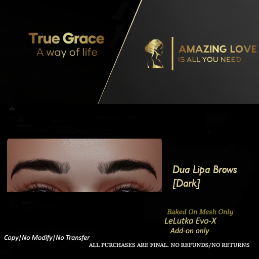 Dua Lipa Brows