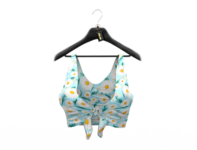 Daisy Arete Legacy Perky