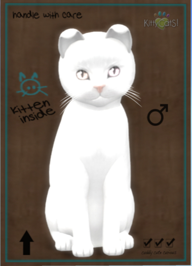 KittyCatS Box - Russian - White