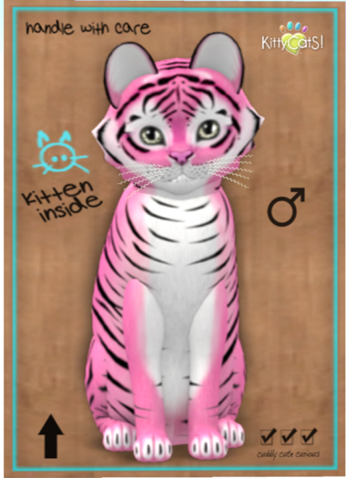 KittyCatS Box - Tiger! - Pinkie Winkie
