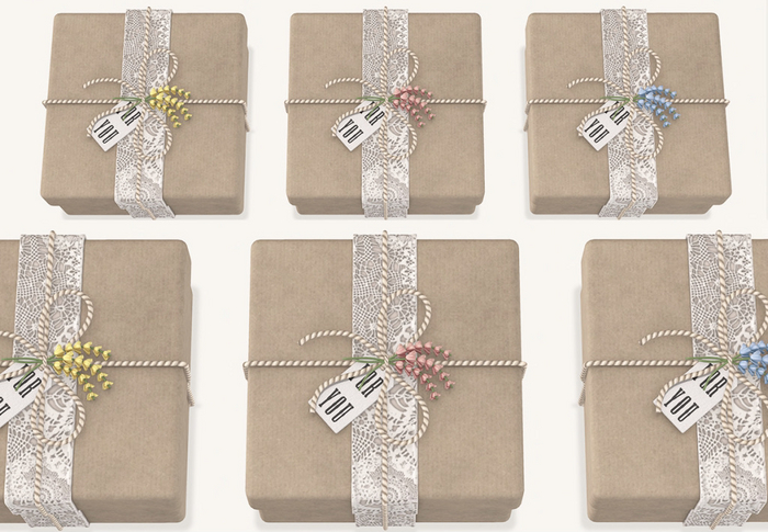 Dahlia - Sweet - Gift Box - Transfer:Mod -  TRANSFER GIFT WRAPPING VERSION