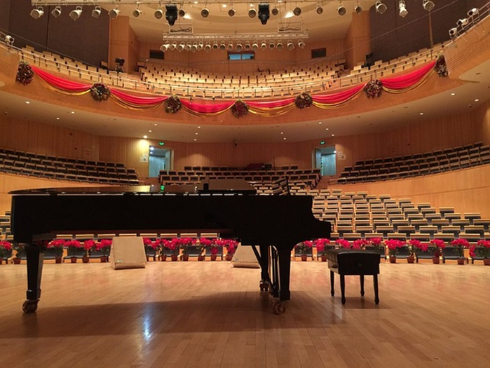 RICHARD CLAYDERMAN HITS & CONCERTS TV (Free, V1)